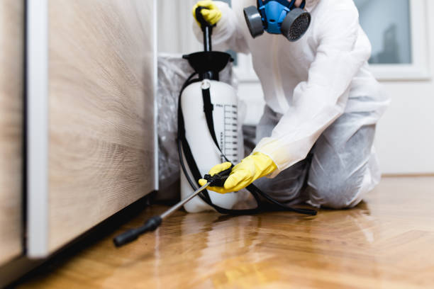 Best Exterminator Services  in Garden City Park, NY
