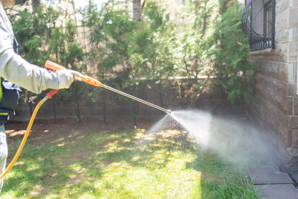 Best Emergency Pest Control  in Garden City Park, NY