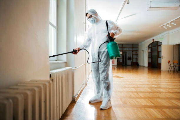 Best Pest Prevention Services  in Garden City Park, NY
