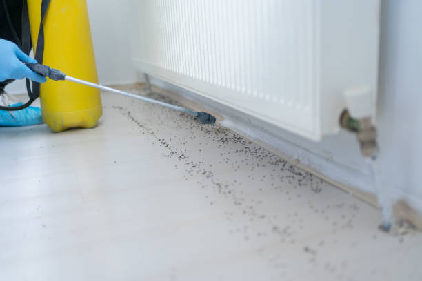Best Pest Control Near Me in Garden City Park, NY